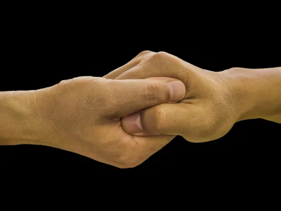 Live Casino Assistance